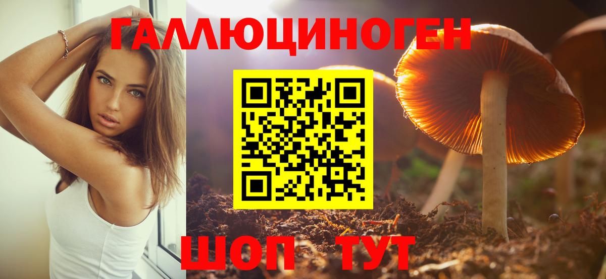Галлюциногенные грибы мицелий  Вход с VPN  Каменск-Шахтинский 