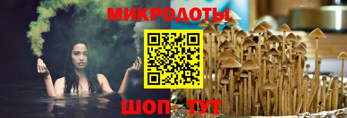 Галлюциногенные грибы MAGIC MUSHROOMS Каменск-Шахтинский